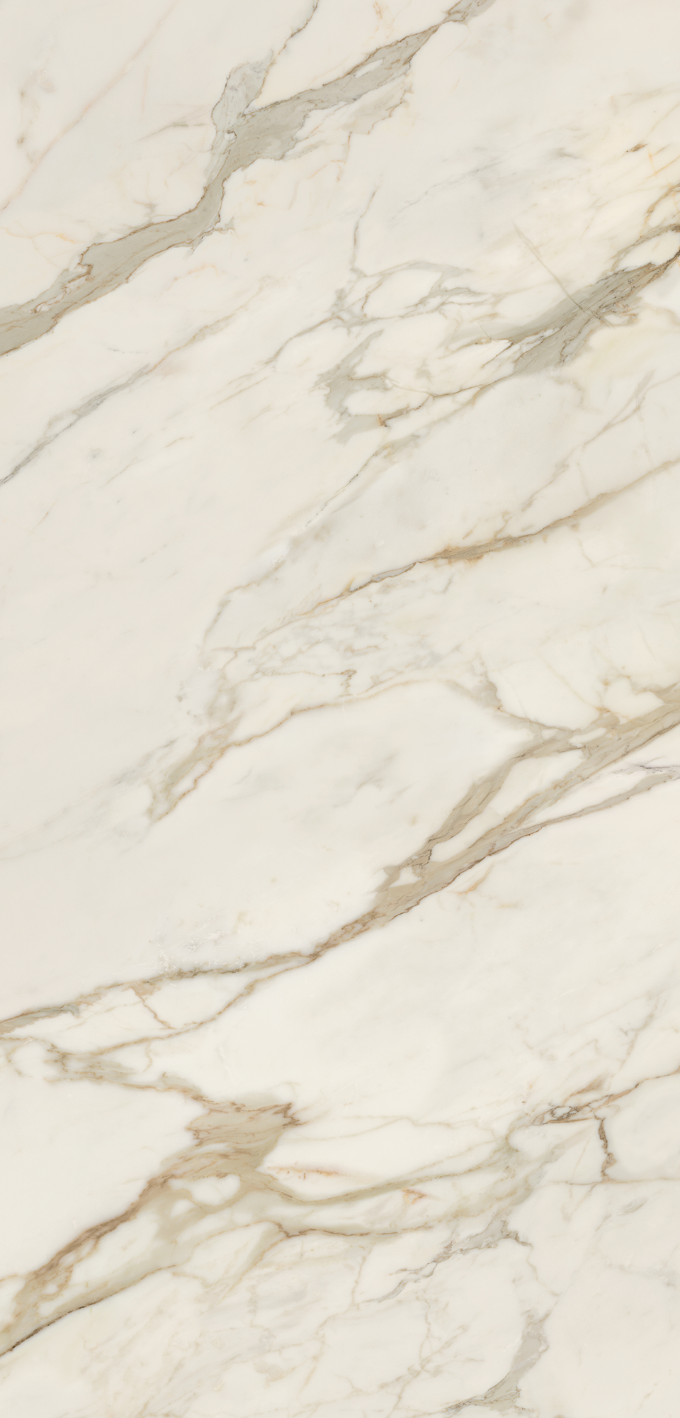 雕刻金 | GOLDEN WHITE