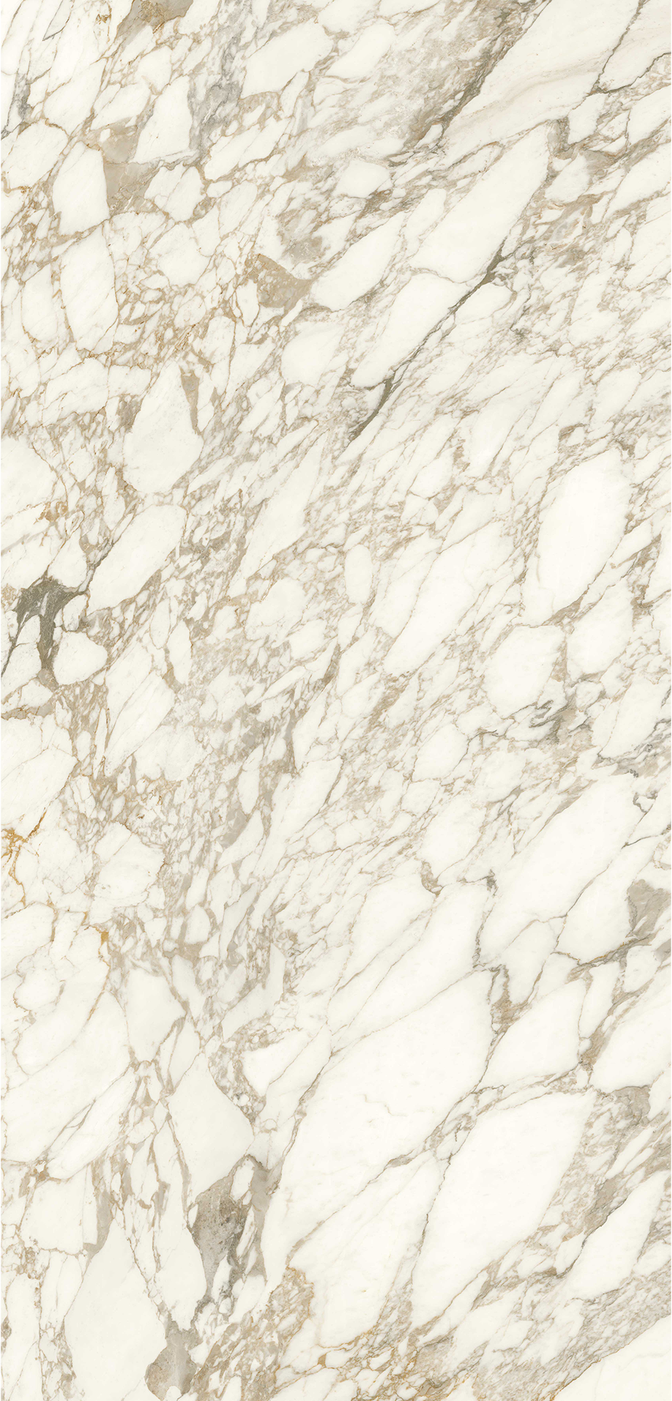 蔓藤金 | LUXURY ARABESQUE