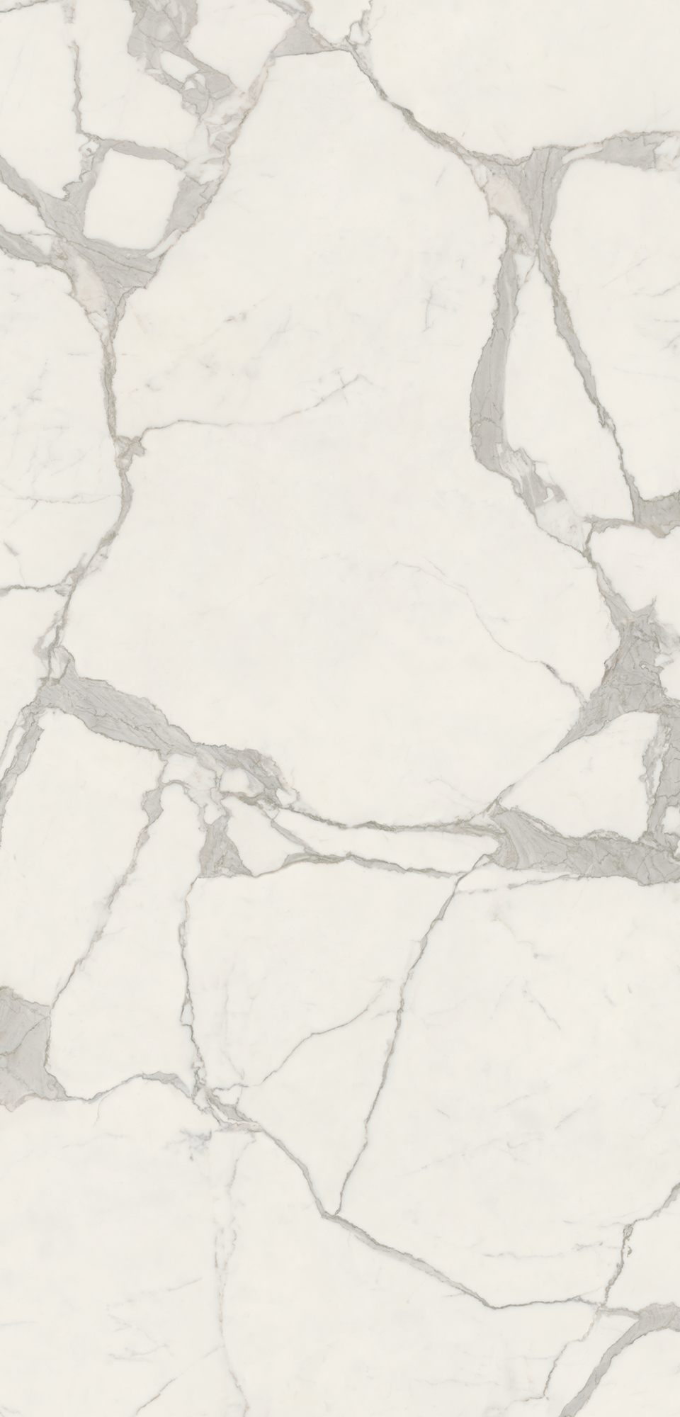 凱薩白 | MAJESTIC WHITE