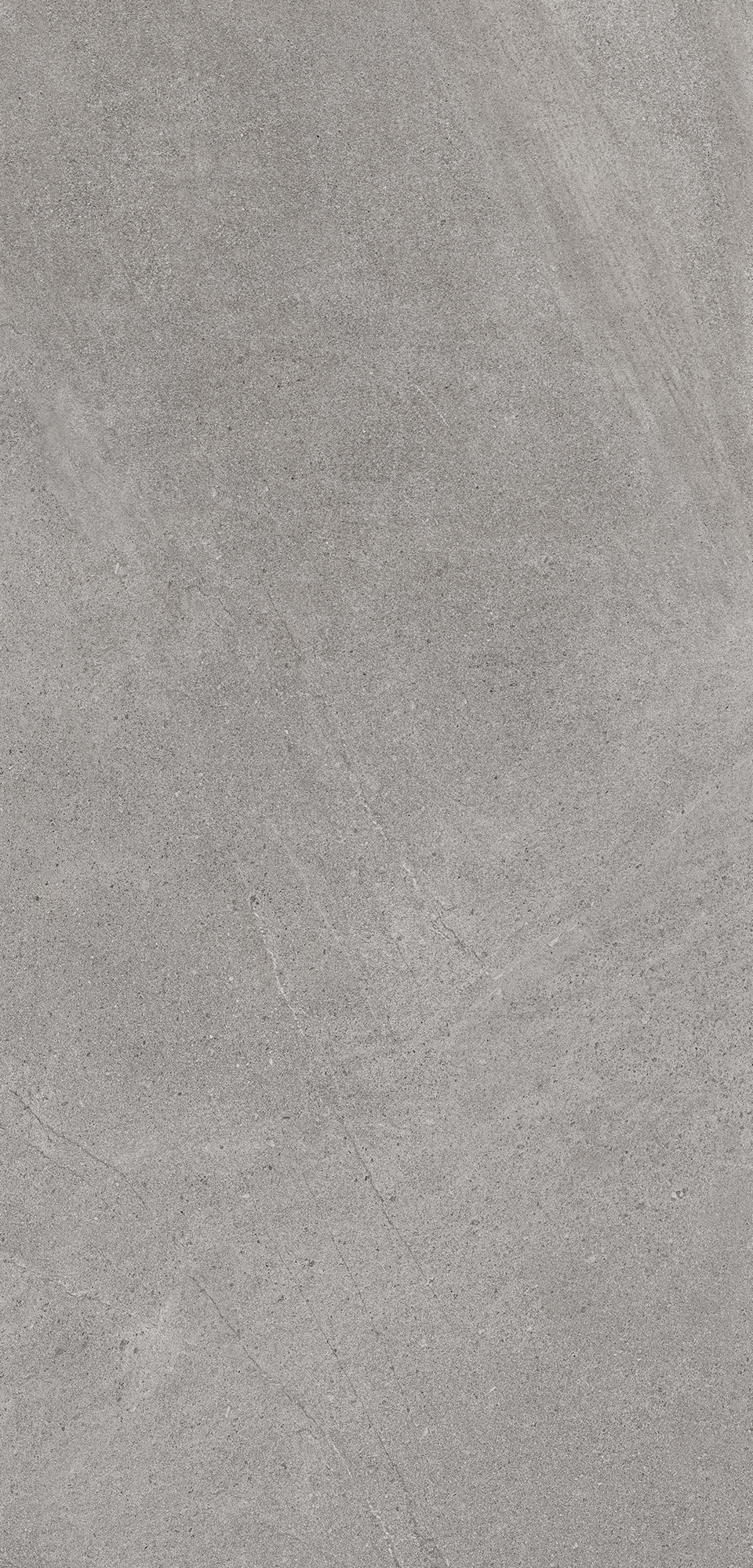 萊姆石-灰 | LIMESTONE OYSTER