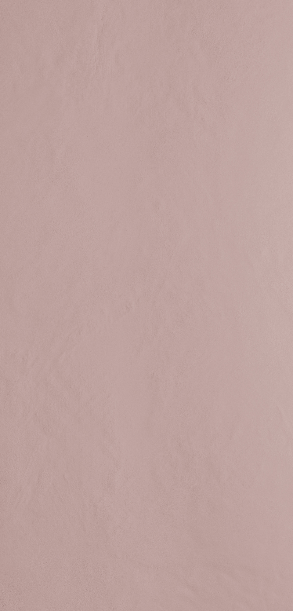 藕粉 | CAMEO